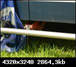 t-5e34fbc8bde7737c748f0b90949c3f67.jpg