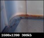 t-ae32d5f36817594906e099ecbfea2ff1.jpg